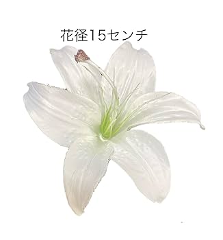 Amazon.co.jp: Lupine 髪飾り カサブランカ 百合（ユリ）白 1本